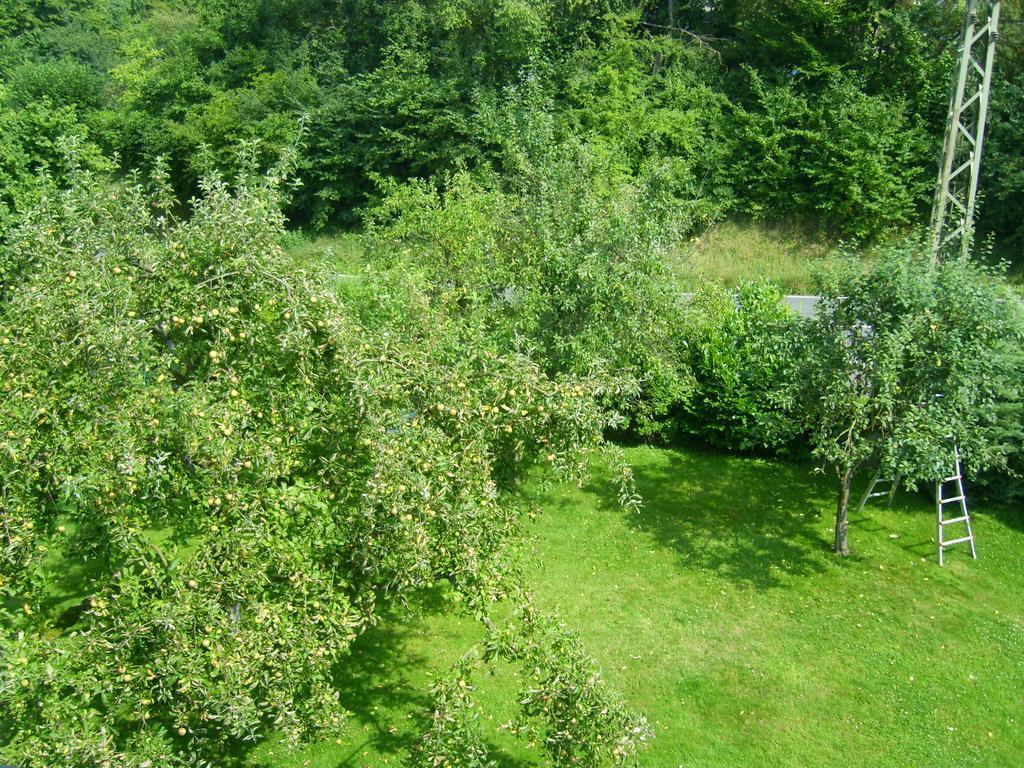 Ferienwohnung Leichlingen Szoba fotó